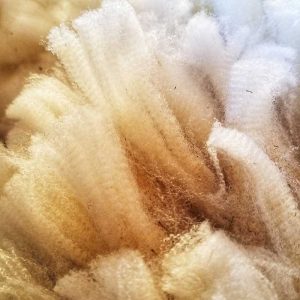 heritage-sheep-brreeds